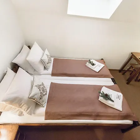 Dworek Mysliwski Hubert- Przy Samych Termach Bania I Stoku Narciarskiego Kotelnica, Na Miejscu Wypozyczalnia Nart, Rowerow Elektrycznych W Atrakcyjnej Cenie Dla Gosci 3*