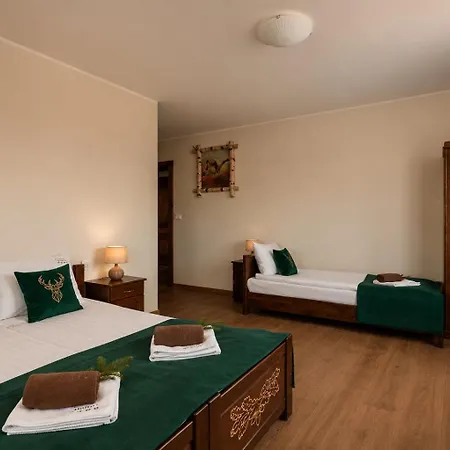 Dworek Mysliwski Hubert- Przy Samych Termach Bania I Stoku Narciarskiego Kotelnica, Na Miejscu Wypozyczalnia Nart, Rowerow Elektrycznych W Atrakcyjnej Cenie Dla Gosci Bed and Breakfast 3*